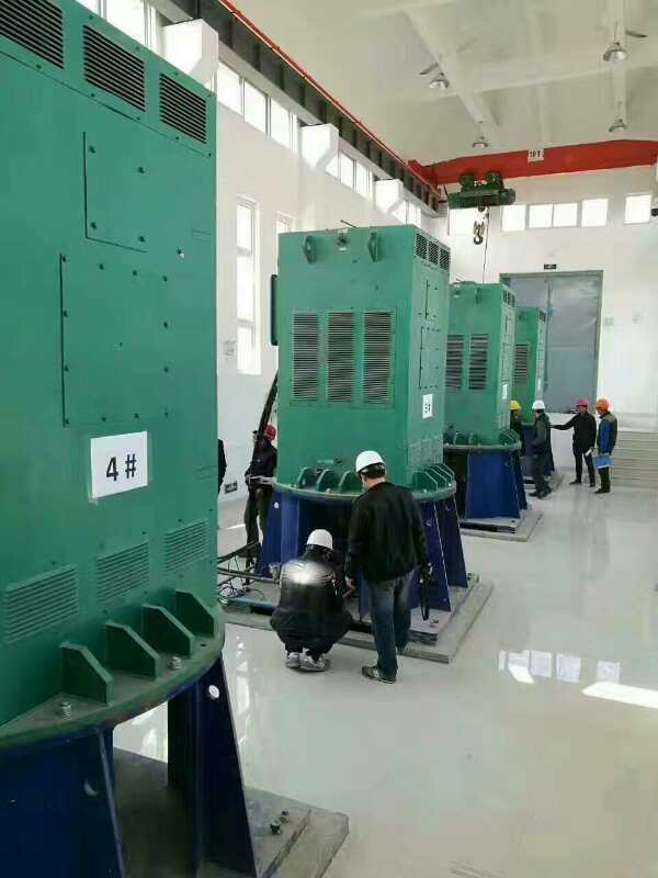 国营金江农场某污水处理厂使用我厂的立式高压电机安装现场