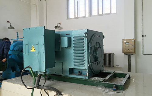 国营金江农场某水电站工程主水泵使用我公司高压电机品质保证