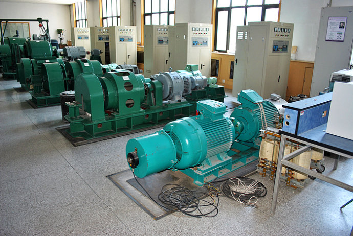 国营金江农场某热电厂使用我厂的YKK高压电机提供动力
